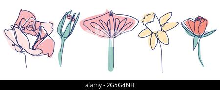 Disegno a linea continua di bel fiore Calla, foglia di monstera, rosa, daffodil, giglio d'acqua, orchidea Illustrazione Vettoriale