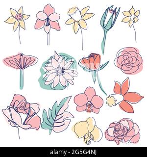 Disegno a linea continua di bel fiore Calla, foglia di monstera, rosa, daffodil, giglio d'acqua, orchidea Illustrazione Vettoriale