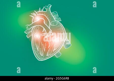 Illustrazione Handrawn del cuore umano su sfondo verde chiaro. Set medico-scientifico con i principali organi umani con spazio di copia vuoto per il testo Foto Stock