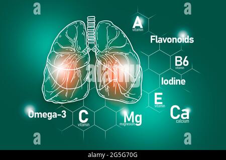 Nutrienti essenziali per la salute dei polmoni, tra cui Omega-3, flavonoidi, magnesio, iodio. Insieme di disegno dei principali organi umani con le vitamine Foto Stock