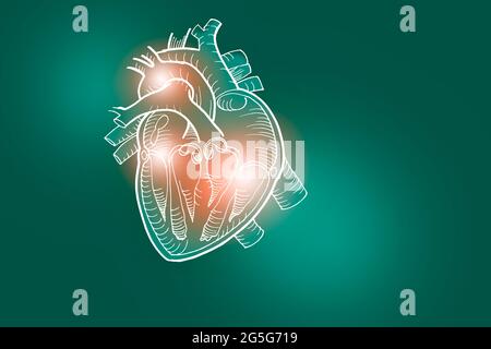 Handrawn illustrazione del cuore umano su fondo verde profondo. Set medico-scientifico con i principali organi umani con spazio di copia vuoto per il testo Foto Stock