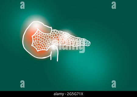 Illustrazione Handrawn del pancreas umano su fondo verde profondo. Set medico-scientifico con i principali organi umani con spazio di copia vuoto per il testo Foto Stock