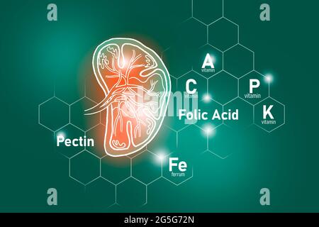 Sostanze nutritive essenziali per la salute della milza, tra cui pectina, acido folico, vitamina P, ferro. Set di progettazione dei principali organi umani su fondo verde profondo. Foto Stock