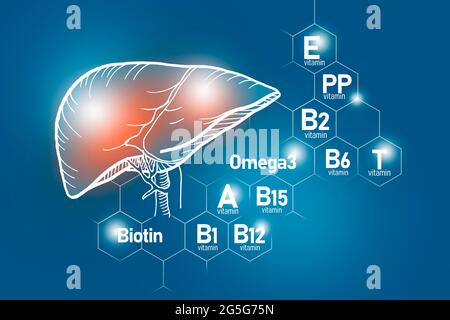 Elementi nutritivi essenziali per la salute del fegato, tra cui Omega-3, carnitina, biotina, vitamina PP, vitamina B. Design insieme di principali organi umani con vitamine Foto Stock