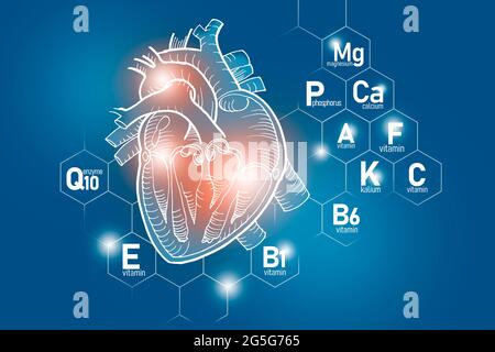 Nutrienti essenziali per la salute del cuore compreso Q10, calcio, magnesio, vitamina F. Design insieme dei principali organi umani con vitamine su blu Foto Stock
