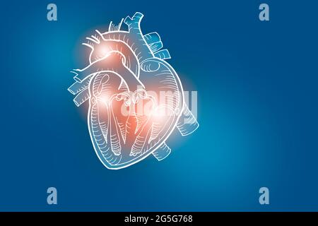 Illustrazione Handrawn del cuore umano su sfondo blu scuro. Set medico-scientifico con i principali organi umani con spazio di copia vuoto per il testo Foto Stock