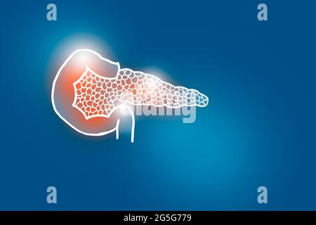 Illustrazione Handrawn del pancreas umano su sfondo blu scuro. Set medico-scientifico con i principali organi umani con spazio di copia vuoto per il testo Foto Stock