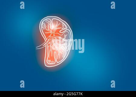 Illustrazione Handrawn della milza umana su sfondo blu scuro. Set medico-scientifico con i principali organi umani con spazio di copia vuoto per il testo Foto Stock