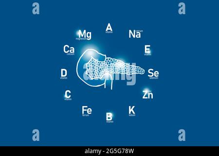 Clockface stilizzato con vitamine essenziali e microelementi per la salute umana, pancreas disegnati a mano, sfondo blu scuro. Foto Stock