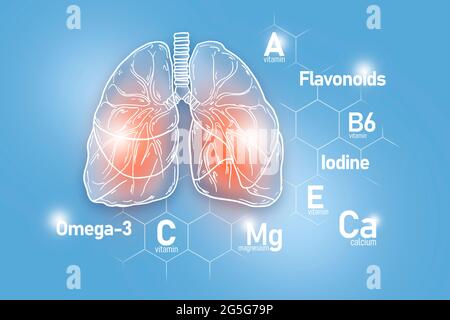 Nutrienti essenziali per la salute dei polmoni, tra cui Omega-3, flavonoidi, magnesio, iodio. Progettazione di organi umani principali con griglia molecolare Foto Stock