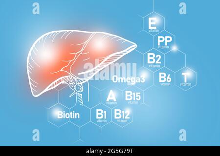 Elementi nutritivi essenziali per la salute del fegato, tra cui Omega-3, carnitina, biotina, vitamina PP, vitamina B. insieme di progettazione dei principali organi umani con griglia molecolare Foto Stock