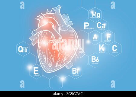 Nutrienti essenziali per la salute del cuore compreso Q10, calcio, magnesio, vitamina F. Design insieme dei principali organi umani con griglia molecolare su blu Foto Stock
