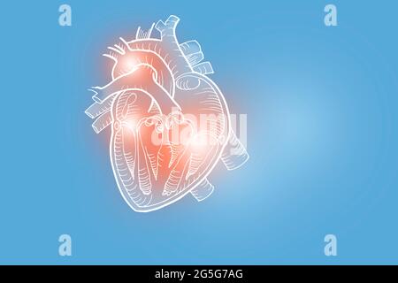 Illustrazione Handrawn del cuore umano su sfondo azzurro. Set medico-scientifico con i principali organi umani con spazio di copia vuoto per il testo Foto Stock