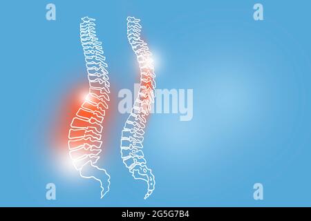 Illustrazione Handrawn della colonna umana su sfondo azzurro. Set medico-scientifico con i principali organi umani con spazio di copia vuoto per il testo Foto Stock