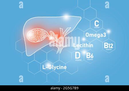 Nutrienti essenziali per la salute della vescica di gallina, tra cui Omega 3, L-glicina, Omega3, lecitina su sfondo azzurro. Foto Stock