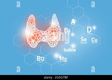 Sostanze nutritive essenziali per la salute della ghiandola tiroidea, tra cui iodio, Selenuim, vitamina B6, Cuprum. Progettazione di organi umani con griglia molecolare Foto Stock