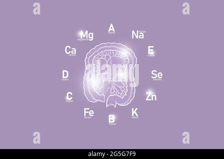 Clockface stilizzato con vitamine essenziali e microelementi per la salute umana, intestino disegnato a mano, fondo lilla. Progettazione sanitaria mockup Foto Stock