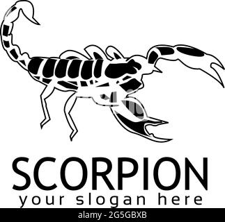 Modello con logo Stock Scorpion, design piatto. Logo Black Scorpion Illustrazione Vettoriale