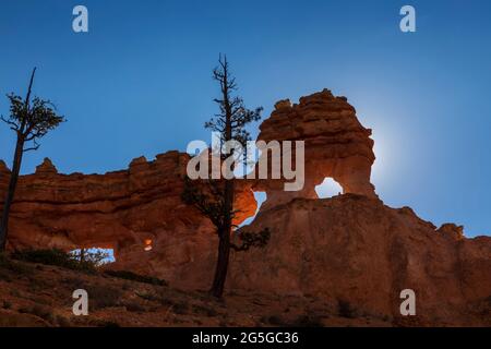 Rock caratteristiche in Water Canyon nel Bryce Canyon National Park, Utah Foto Stock