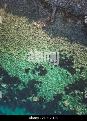 Uno scatto verticale di bella costa rocciosa Foto Stock