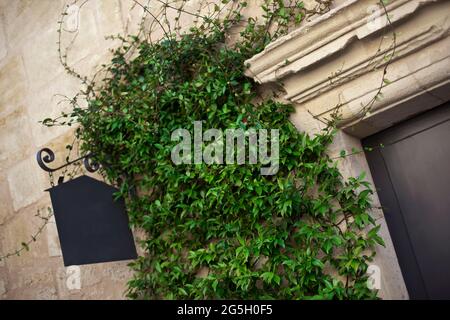 Facciata in pietra nel villaggio francese di St Emilion Foto Stock