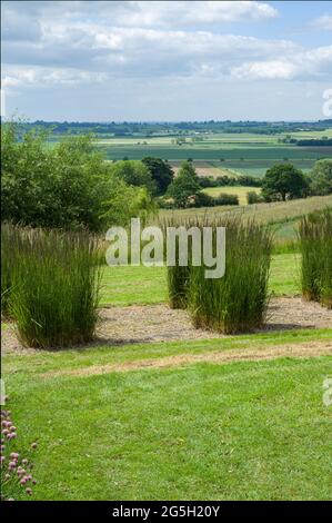 vista panoramica sui campi di alberi cielo e piante di lavanda Foto Stock