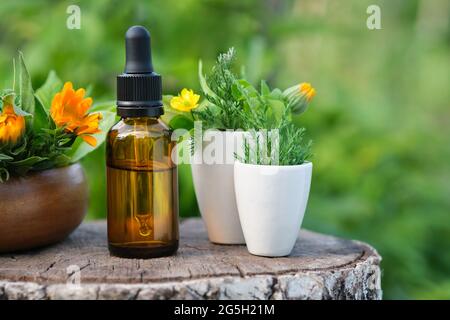 Flacone contagocce di olio essenziale di calendula, infusione o siero, fiori di marigola sani e rametti di ginepro in mortar all'aperto. Medicina alternativa. Foto Stock