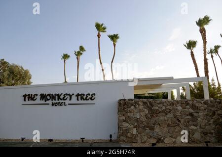 Palm Springs, California, USA 24 giugno 2021 una vista generale dell'atmosfera del Monkey Tree Hotel al 2388 East Racquetball Club Road dove Marilyn Monroe soggiornò con John F. Kennedy nella stanza 151, attrice Lucille Ball e attore Desi Arnaz, cantante Frank Sinatra , The Beatles, L'attore Spencer Tracy e l'attrice Katherine Hepburn, l'attore Bob Hope e il musicista Eric Clapton sono stati ospiti il 24 giugno 2021 a Palm Springs, California, USA. Foto di Barry King/Alamy Stock foto Foto Stock