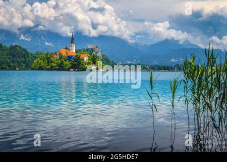 Splendida vista panoramica dalla riva del lago con chiesa e castello, Bled, Slovenia, Europa Foto Stock