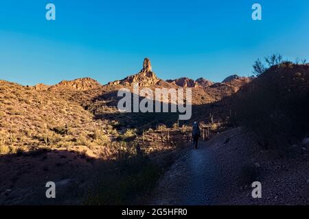 Escursioni attraverso le Superstition Mountains sull'Arizona Trail, Arizona, U.S.A Foto Stock