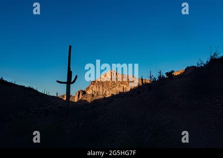 Paesaggio Saguaro nelle Superstition Mountains sull'Arizona Trail, Arizona, U.S.A Foto Stock