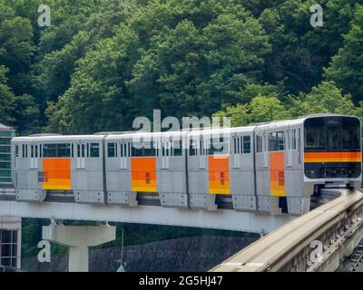 Vista panoramica di un treno della metropolitana che passa attraverso un ponte con una foresta sullo sfondo Foto Stock