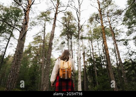 Vista posteriore della donna escursionista esplorando la foresta durante la vacanza Foto Stock