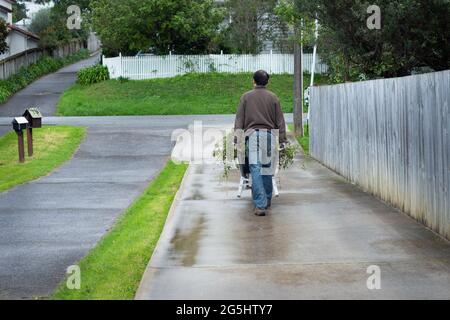 Un uomo che spinge la carriola caricata sul vialetto di cemento, ripulendo il giardino Foto Stock