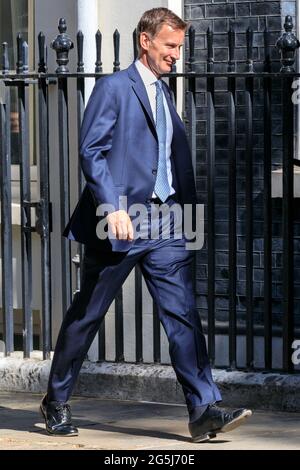 Jeremy Hunt, politico del Partito conservatore britannico, Downing Street, Westminster, Londra, Inghilterra Foto Stock