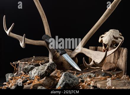 Coltello sullo sfondo di un corno di cervi. Cervi antlers e cranio castoro. Coltello da caccia. Vista frontale. Foto Stock