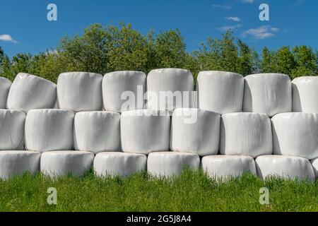 Campo di campagna con balle di fieno avvolte in sacchi di plastica in una giornata di sole contro un cielo blu Foto Stock