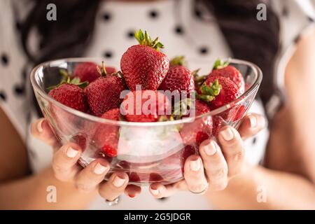Ciotola piena di fragole nelle mani di una donna. Foto Stock