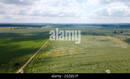 Cereali depositati dopo tempesta e grandine. Segale di maturazione. Ha sofferto di maltempo. Fotografia aerea Foto Stock