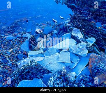 Regno Unito, Galles, stretto di Menai, ardesia smerigliata sulla costa, Foto Stock