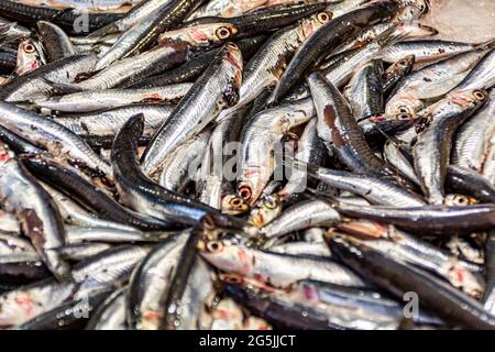 Una pila di sardine fresche catturate sul mercato del pesce di Rialto nel centro di Venezia, Italia Foto Stock