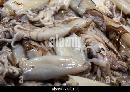 Calamari freschi crudi al mercato di Rialto a Venezia Foto Stock