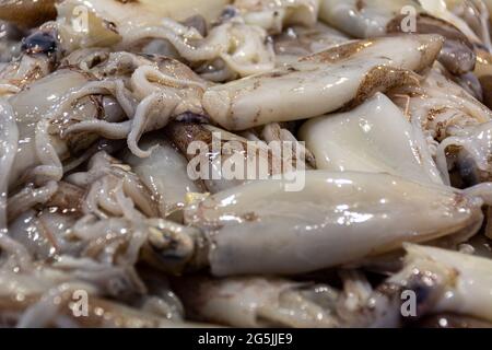 Calamari freschi crudi al mercato di Rialto a Venezia Foto Stock