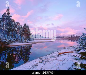 Regno Unito, Scozia, Highlands, Loch Laggan, neve invernale scena, dawn, Foto Stock