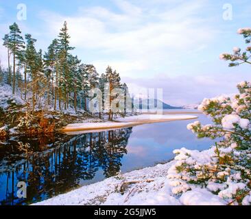 Regno Unito, Scozia, Highlands, Loch Laggan, neve invernale scena, alba, Foto Stock