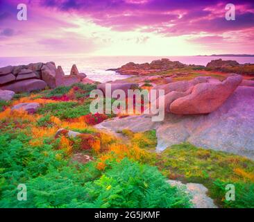 Francia, Bretagna, Costa de Granit Rose, alba sulla costa, Foto Stock