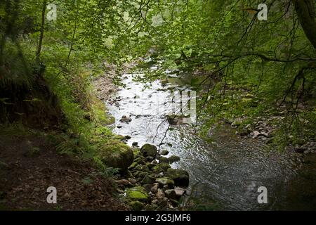 Acqua che scorre giù un ruscello, o fiume, su rocce. Silenzioso. Tranquillo. Appartato. Foto Stock