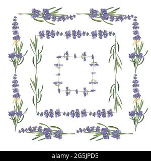 Set viola Lavanda bella cornice floreale modello in stile vettoriale acquerello isolato su sfondo bianco per il design decorativo, carta da sposa Illustrazione Vettoriale