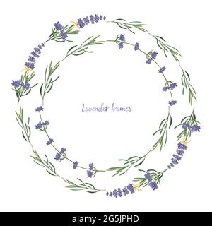 Set viola Lavanda bella cornice floreale modello in stile vettoriale acquerello isolato su sfondo bianco per il design decorativo, carta da sposa Illustrazione Vettoriale