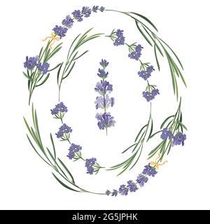 Set viola Lavanda bella cornice floreale modello in stile vettoriale acquerello isolato su sfondo bianco per il design decorativo, carta da sposa Illustrazione Vettoriale